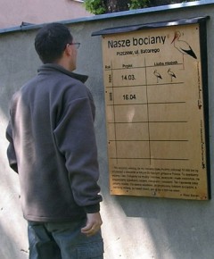 Na tablicy znajdziesz informacje o wiosennej dacie przylotu gospodarza i liczbie młodych